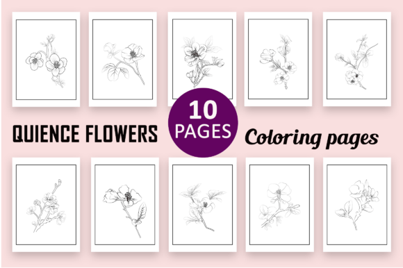 Quience Flowers Graphics and Coloring Pages for Branding