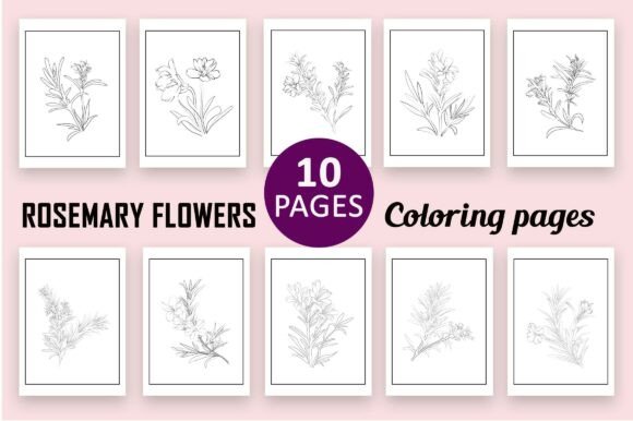 Rosemary Flower Graphics for Adult Coloring Pages